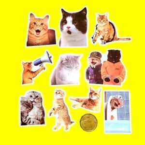 3/$20 brand new 10x waterproof funny stickers